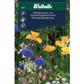 Sommerfugleblomster mix 